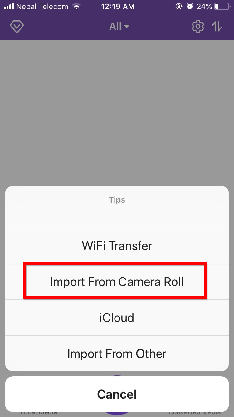 Next click the Import From camera Roll button.