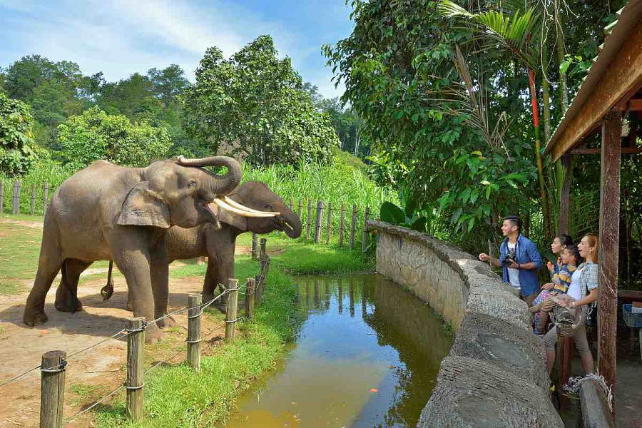 Things To Do in Kota Kinabalu Lok Kawi Wildlife Park