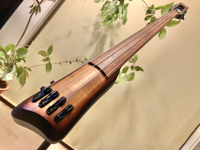 Upright Bass Ibanez UB804