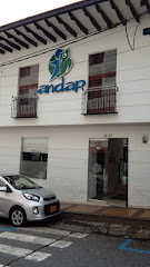 'ANDAP' Academia Nacional De Aprendizaje (Manizales)