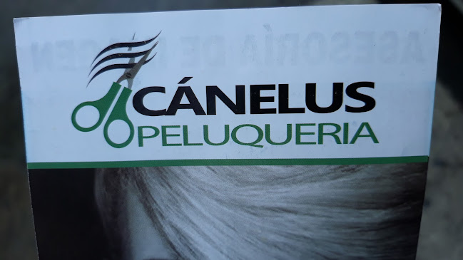 Opiniones de CÁNELUS PELUQUERIA en Cuenca - Peluquería