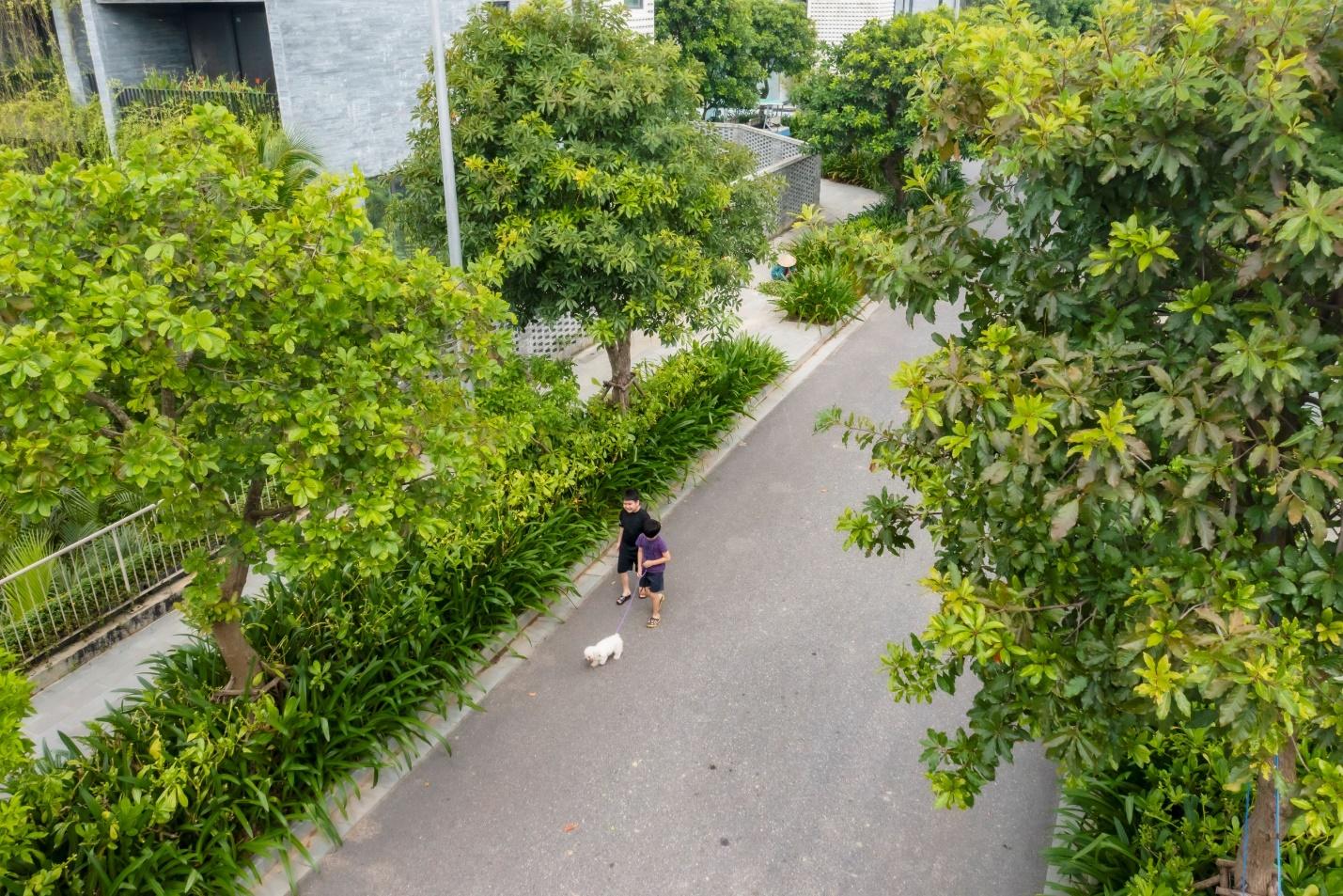 A person walking a dog on a path with trees Description automatically generated