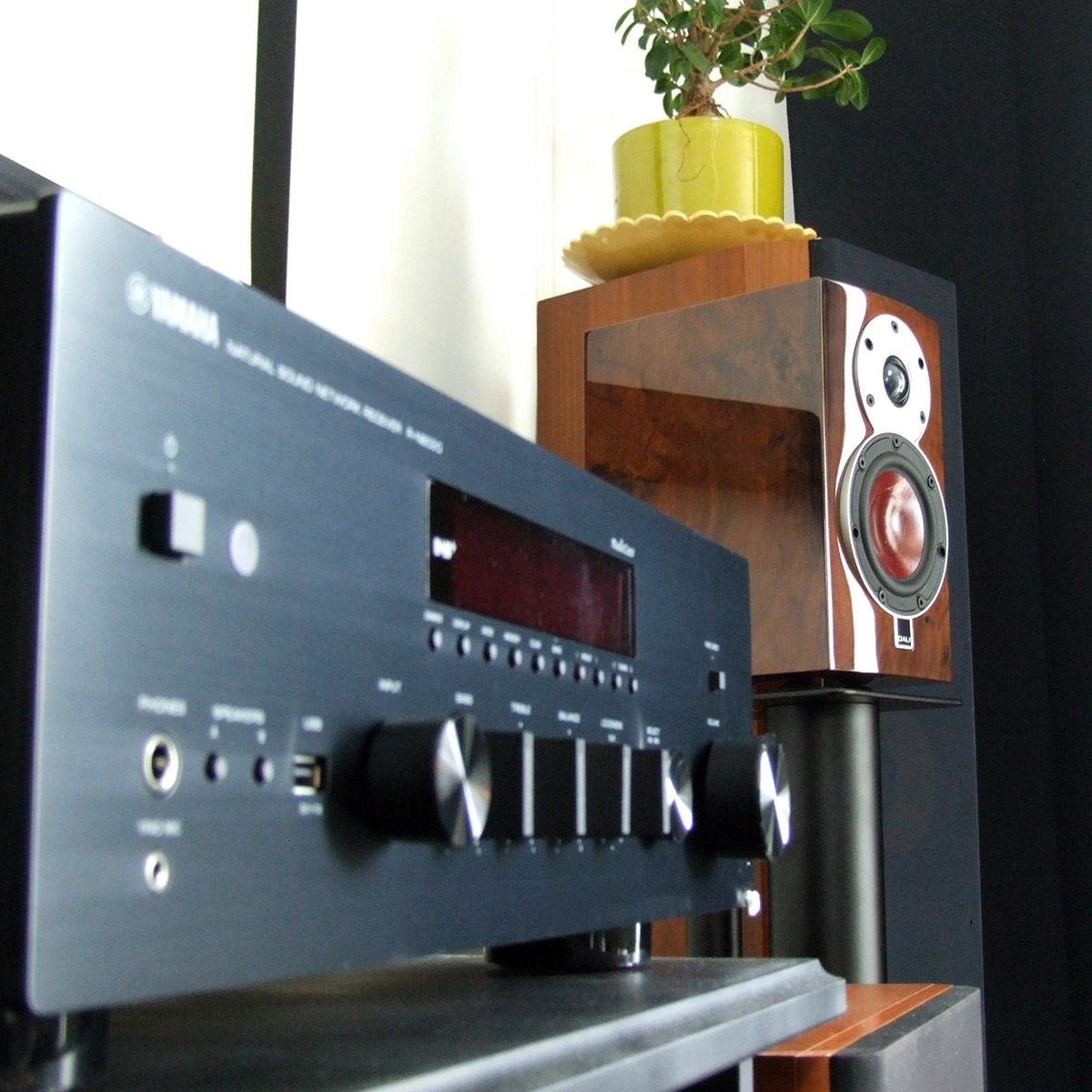 Dali Menuet Special Edition Review Small Compact Speakers Offering A Wide Soundstage Son Video Com Blog