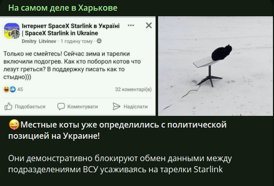 зображення до посту: 10 найсмішніших російських фейків 2022 року