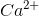 Ca^{2+}