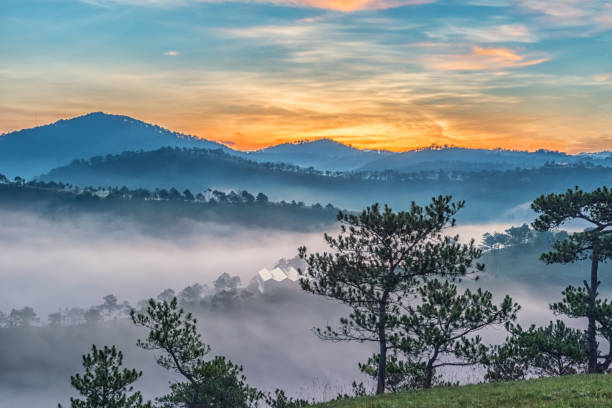 anh hoa da lat