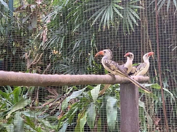 Harga Tiket Kl Bird Park