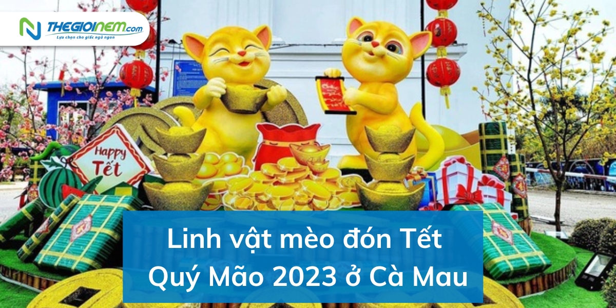 Linh vật mèo Tết Quý Mão 2023 ở các địa phương gây sốt cộng đồng