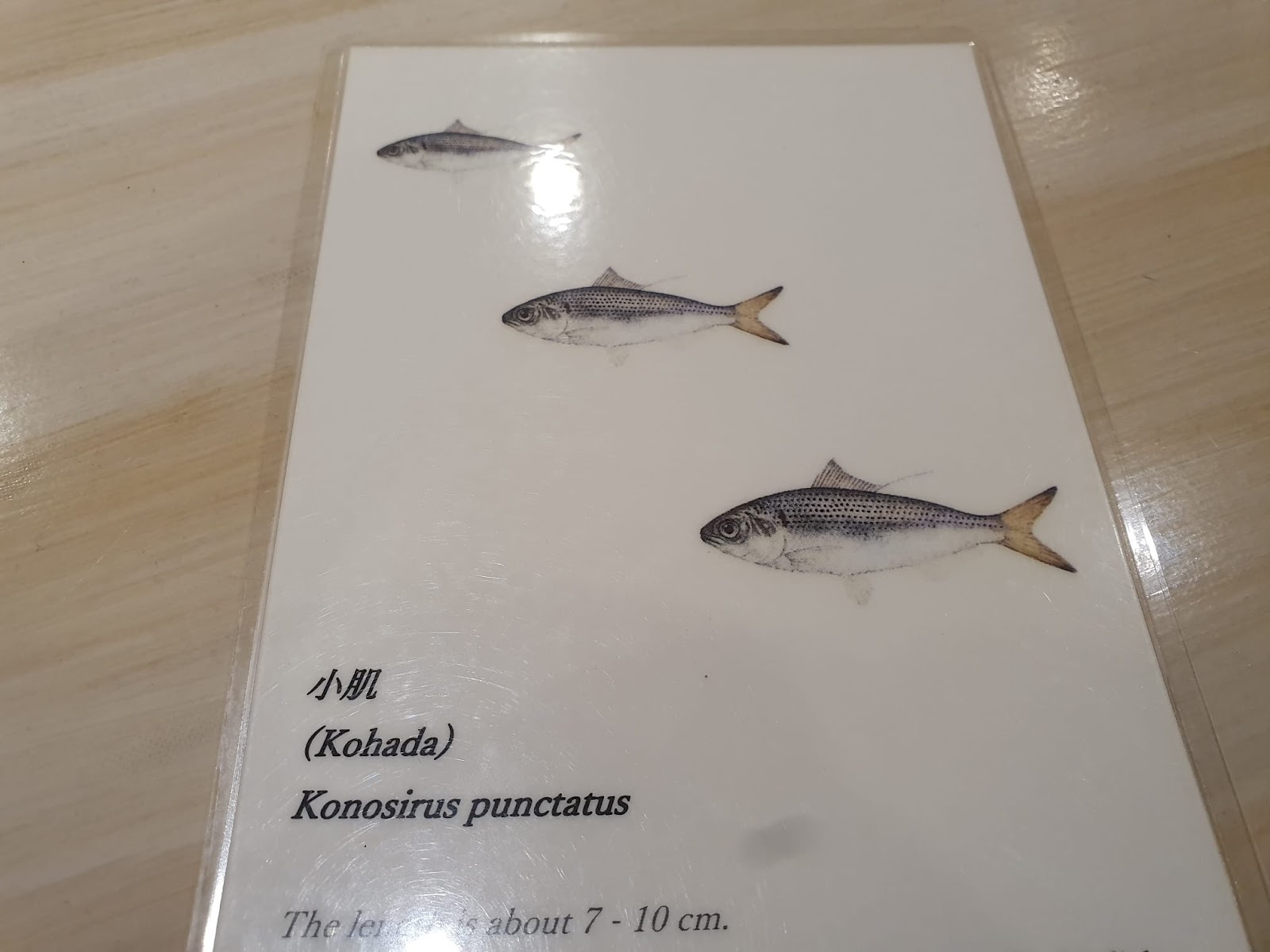 placard of kohada fish at Misaki Nobu 
