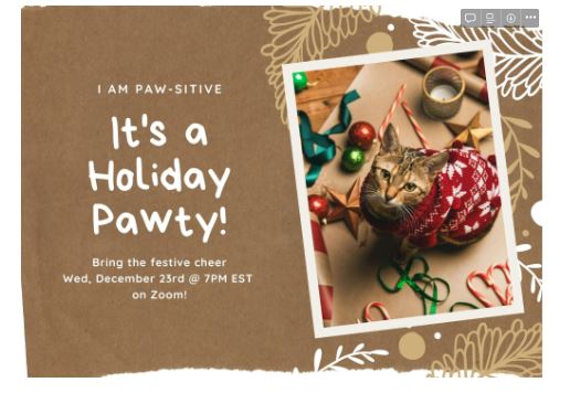Pawsitive Pet email