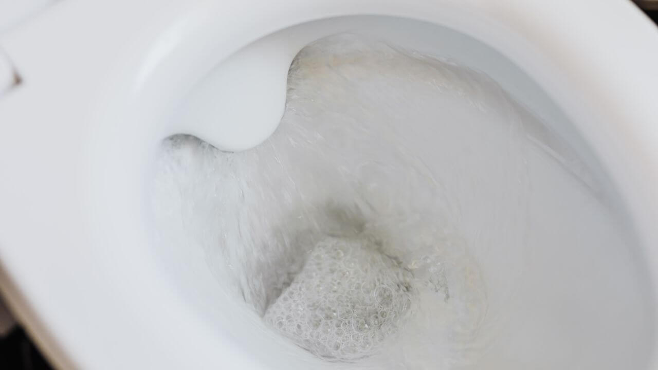 How Do You Know If Your Toilet Is Wasting Water?