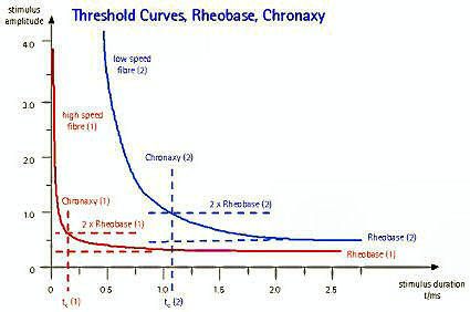 Low speed thin fibers (pain) in blue have a higher chronaxy than high-speed thick fibers (motor) in red