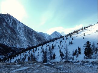 Отчет о лыжном походе по Алтаю (Катунский хребет)