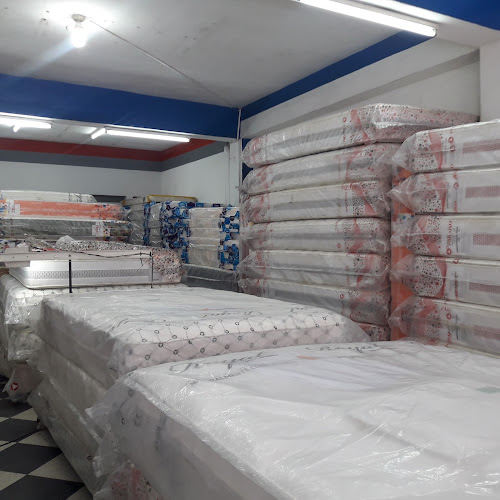 PARAISO IQUITOS E.I.R.L - Tienda de muebles
