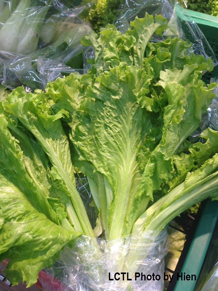 lettuce.jpg