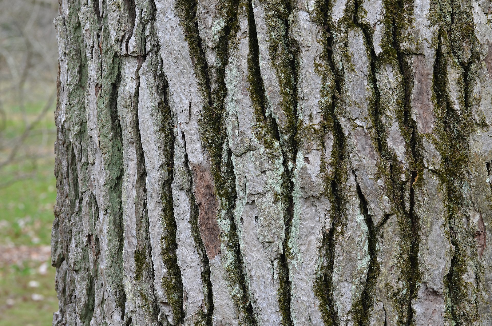 Difficult to Split