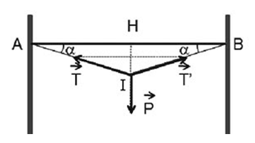 Hình vẽ mô tả lực căng dây câu 4