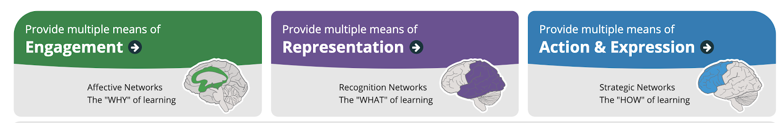 UDL principles: Multiple means of representation, engagement, and action & expression