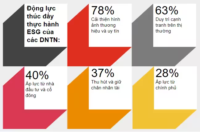 thực trạng ESG tại Việt Nam