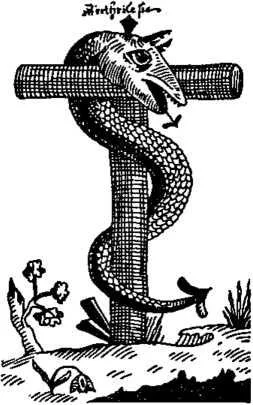 D:\0 wd yedek\acr yedek\1 film indirme\encyclopedia_symbols_roshal\encylopedia_files\000306.jpg