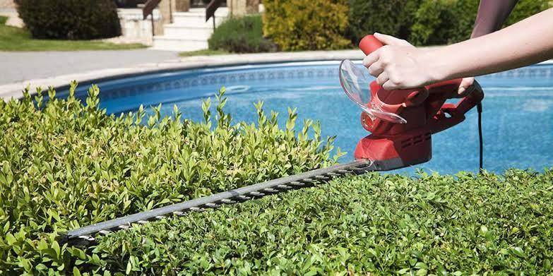 Best Cordless Hedge Trimmers 