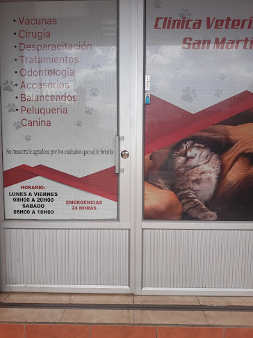 Opiniones de Clínica Veterinaria San Martín en Cuenca - Veterinario