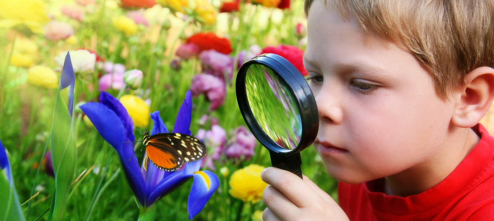 child observing butterfly with magnifying glass