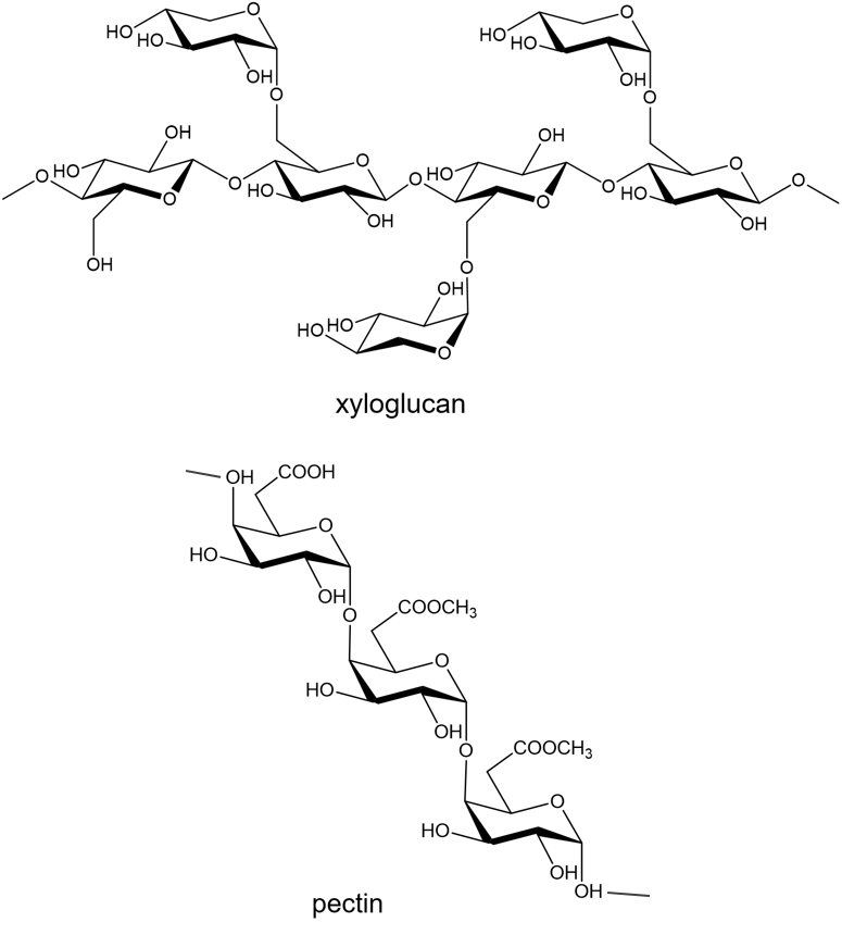 C:\Cos.edit\รูปสารเคมี\มะขาม.polysaccharide.png