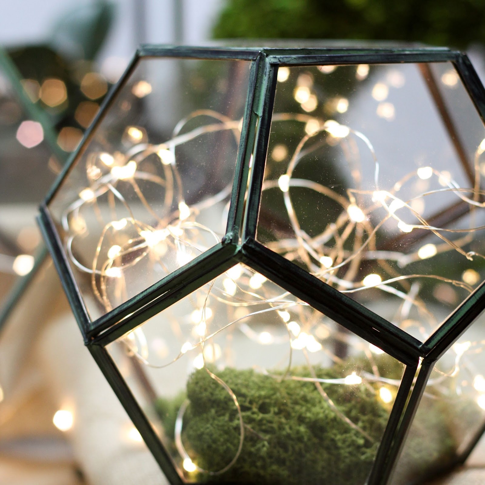 micro lights inside faceted terrarium planter