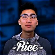 Image result for ricegum salary