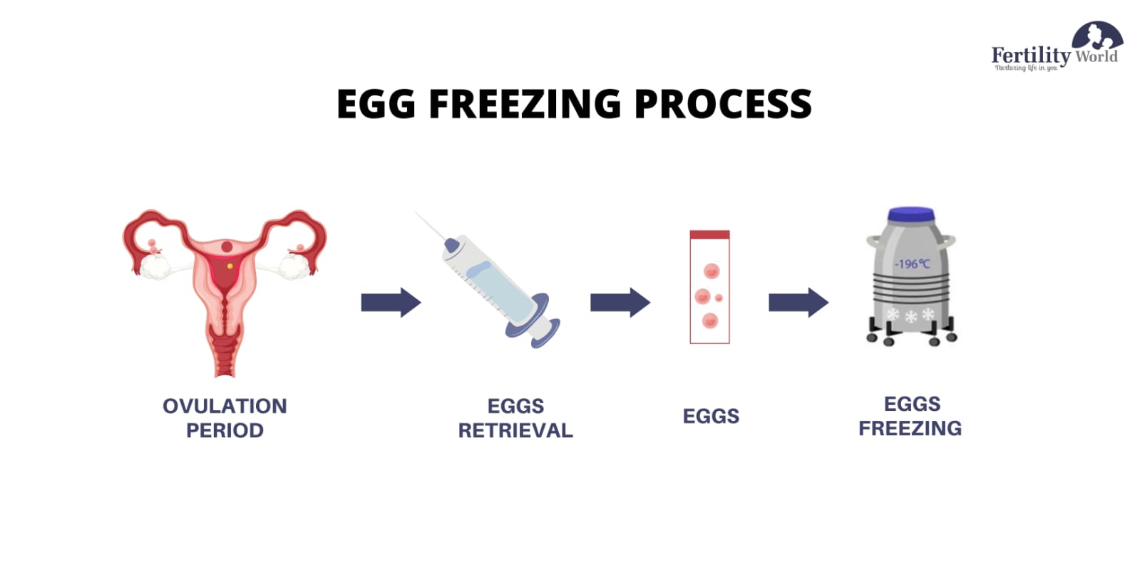 What is the procedure for egg freezing?