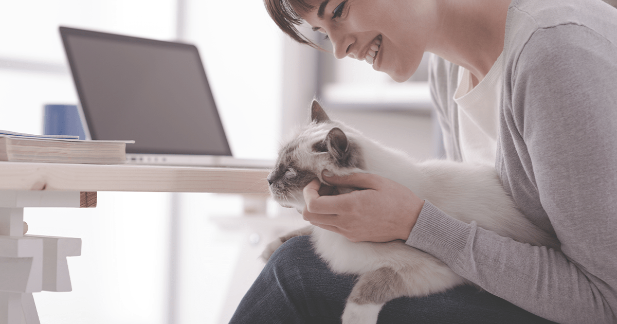 Cat laying on woman's lap being pet while she sits at desk with her computer