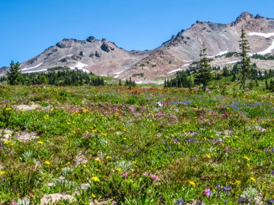 Backpacking Trail Snowgrass Flat