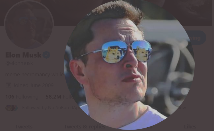 Doge Jumps 20% as Elon Musk Adds Doge Twitter Profile Picture
