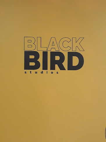 Black Bird Studios - Cuenca