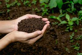 Keep the soil balanced and healthy