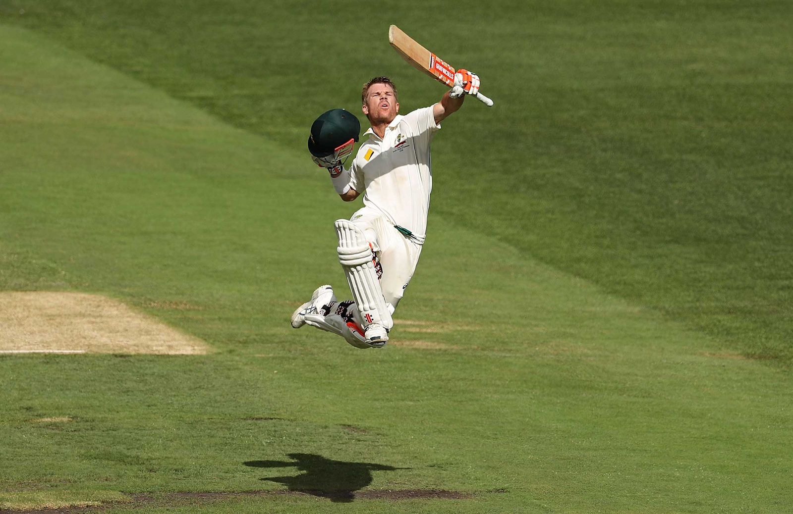 David Warner scored 180 runs against India on a tough pitch in Perth