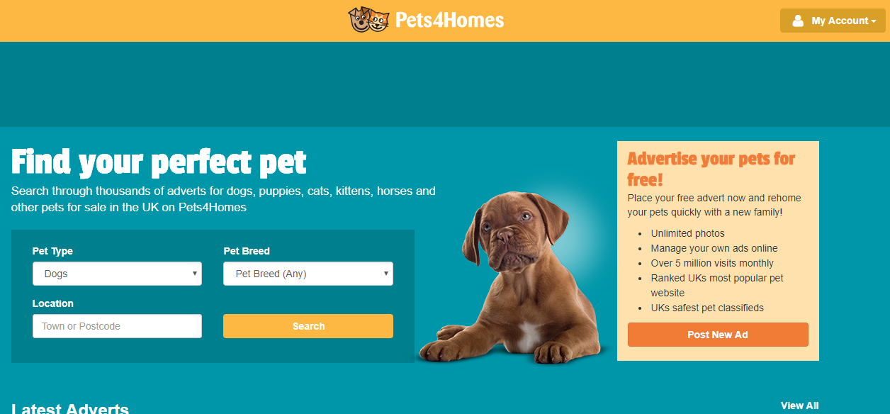 Pets4homes.PNG