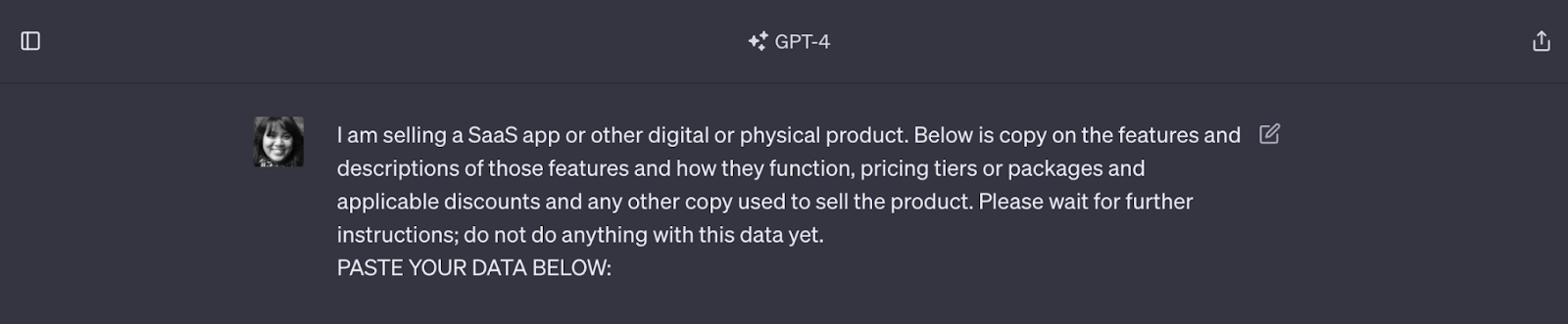 Screenshot of AI prompt with copy selling SaaS
