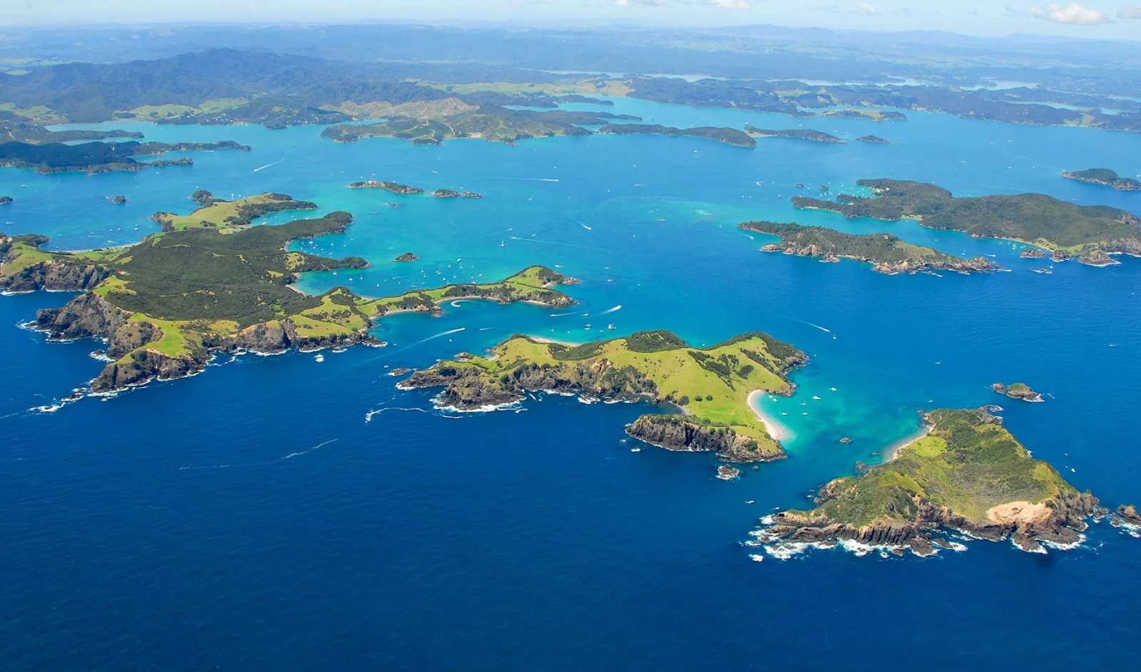 Bay of Islands Tours