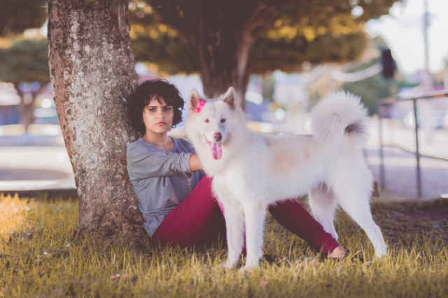 A lady seated under a tree in the company of her dog