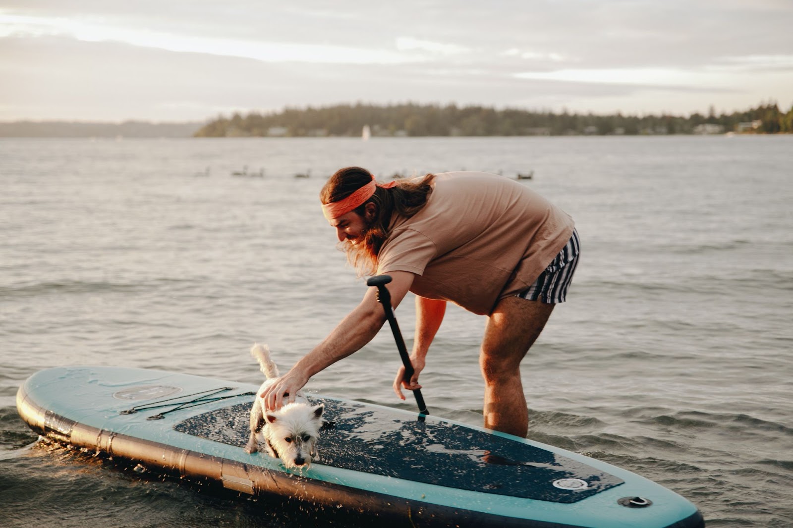 A man touching his dog on the paddle board.