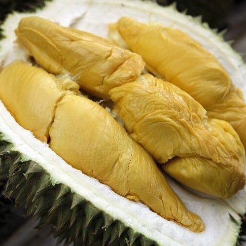d101 durian
