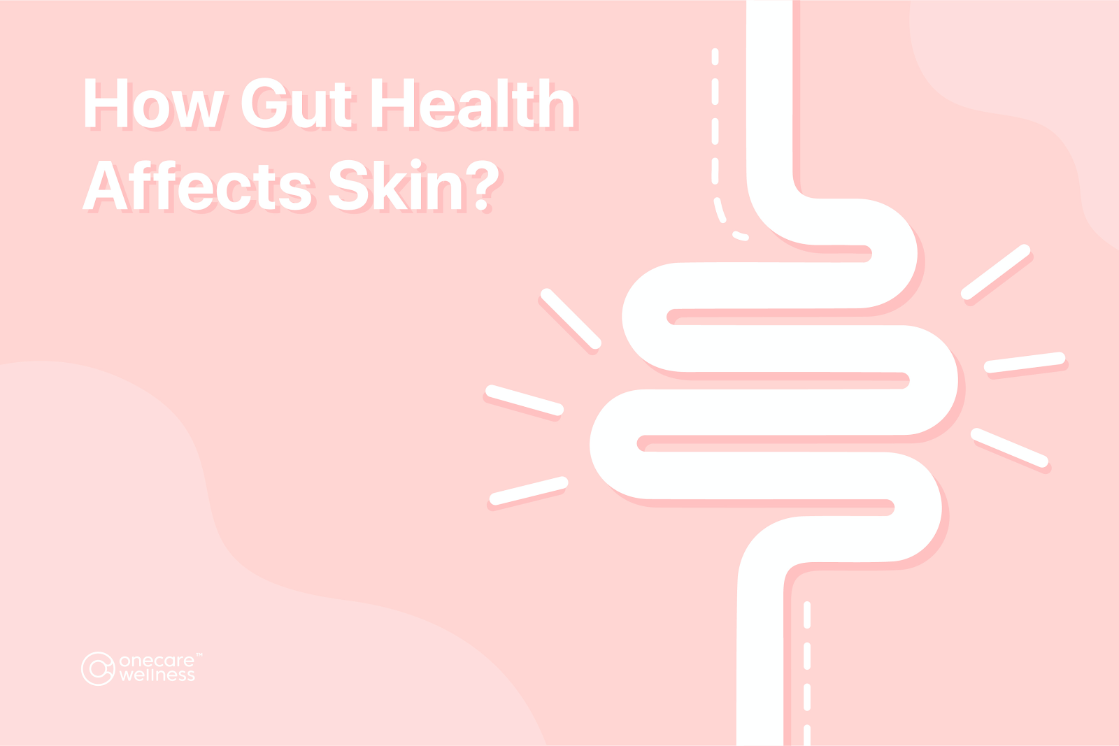 The Gut-Skin Connection