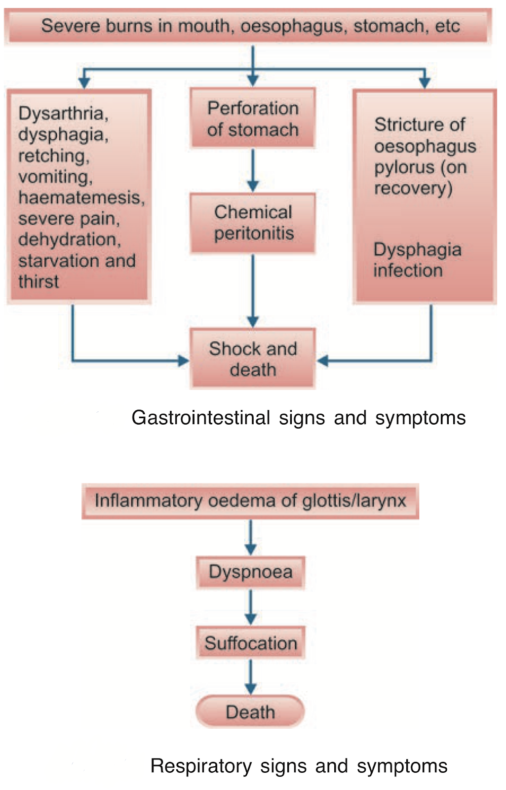 Gastrointestinal and Respiratory Signs and Symptoms