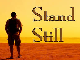 Image result for stand still
