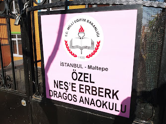 Özel Neşe Erberk Anaokulu Dragos