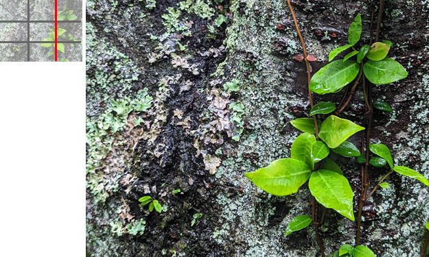 三分割構図でラインを活用した写真