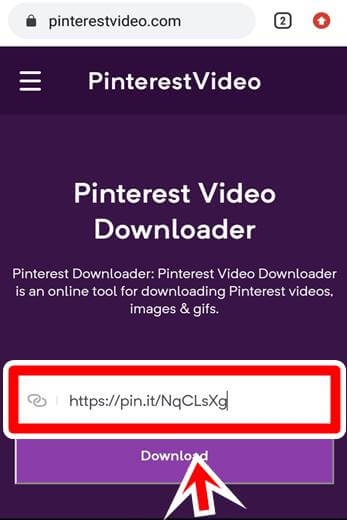 Pinterest Story Downloading step2
