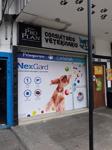 Pet's Zone - Veterinario